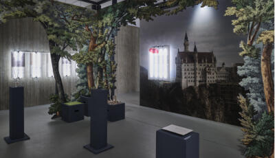 Ausstellungsraum mit Baumkulisse und Schloss Neuschwanstein im Hintergrund. In der Raummitte sind ein paar Vitrinen.